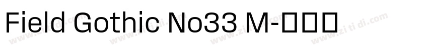 Field Gothic No33 M字体转换